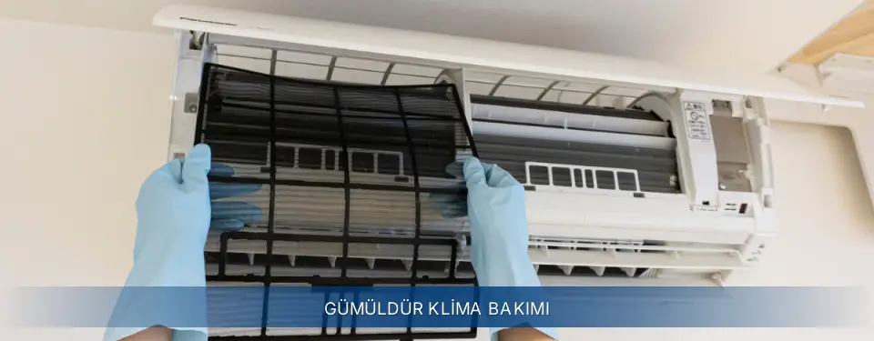 Gümüldür İlçemi Electrolux Klima Bakımı