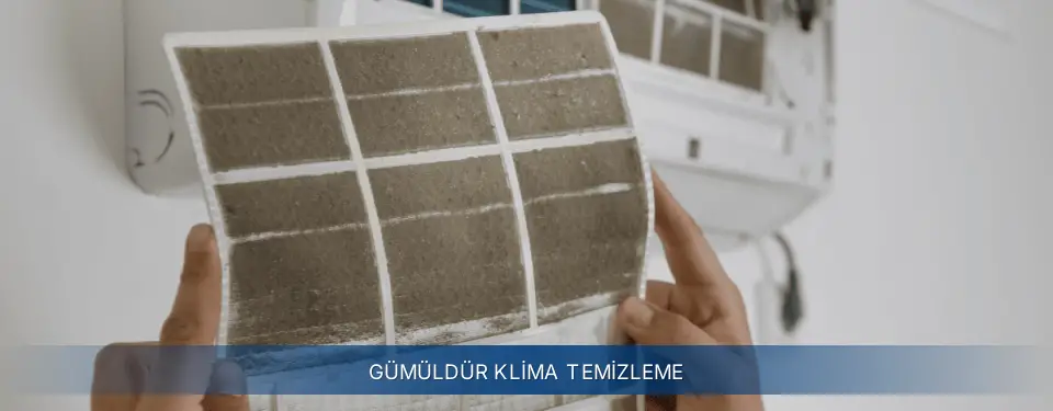 Gümüldür İlçemi Electrolux Klima Temizleme